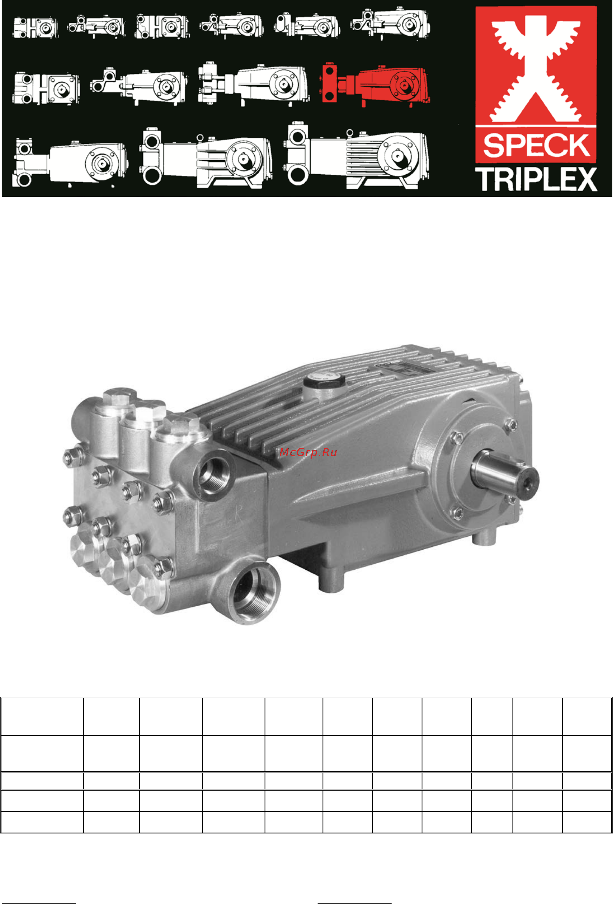 SPECK Pumpen P51/135-90 Инструкция по эксплуатации онлайн