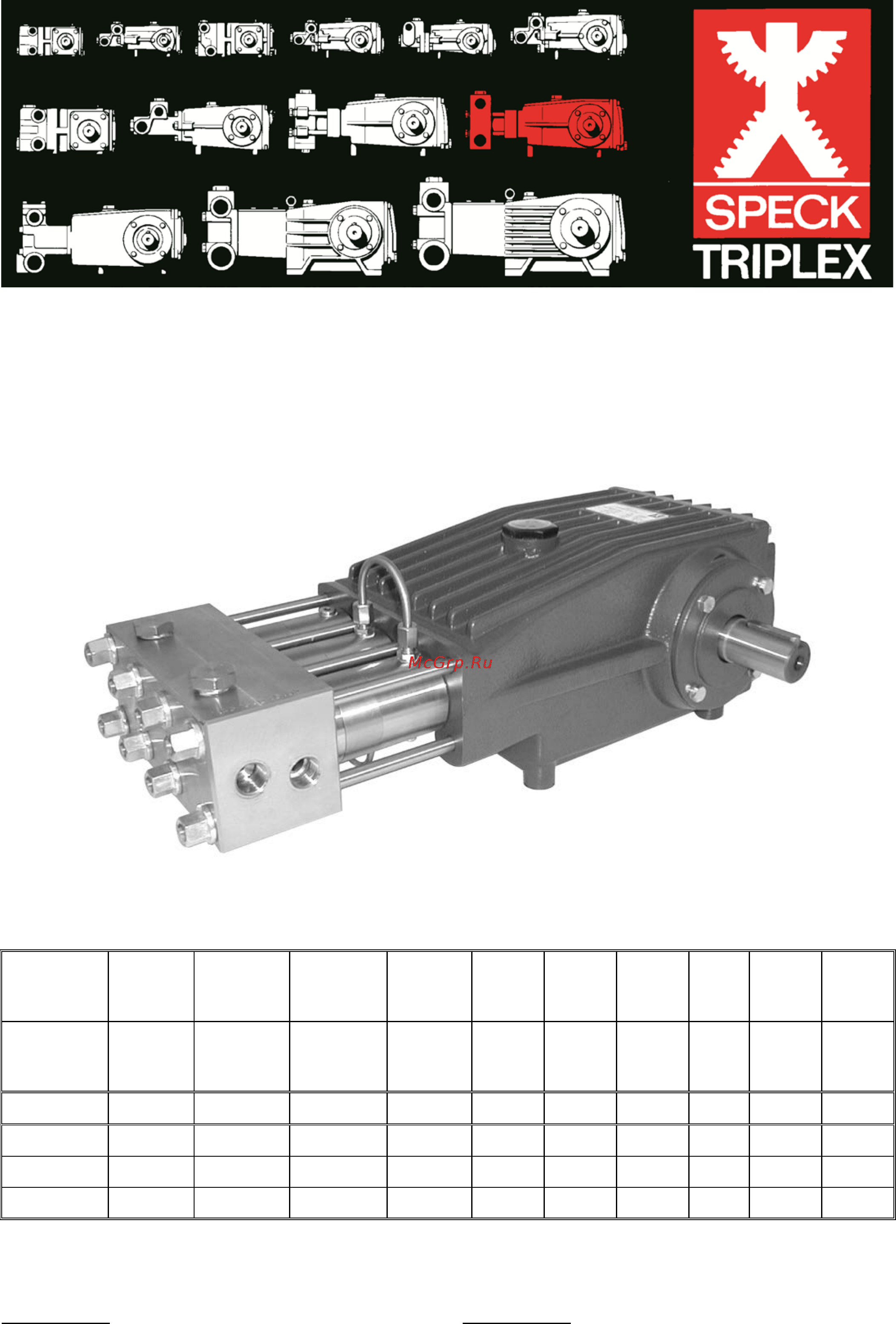 SPECK Pumpen P52/60-120C Инструкция по эксплуатации онлайн