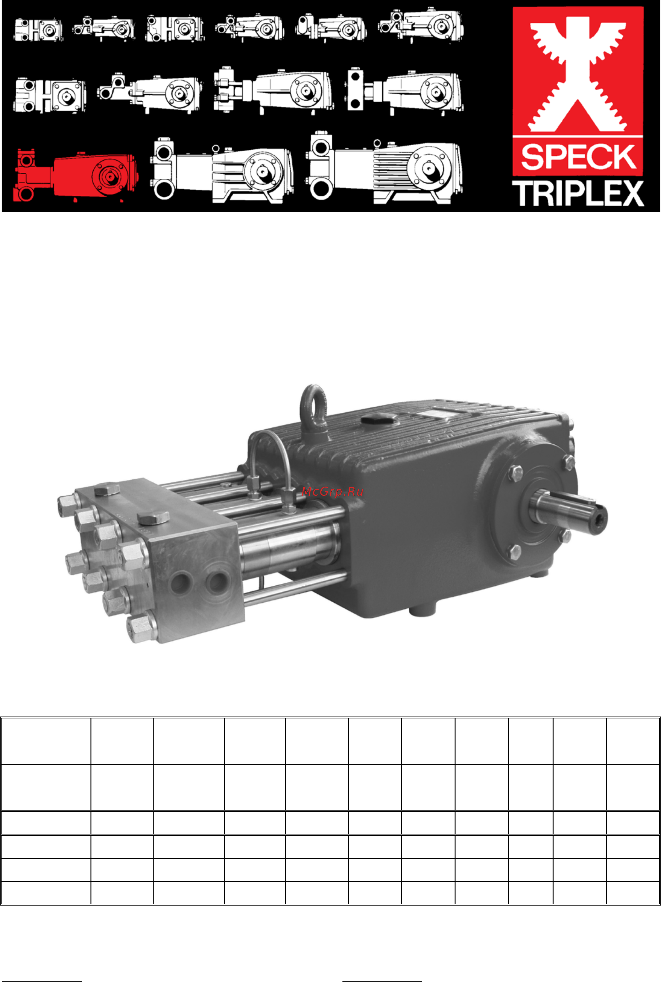 SPECK Pumpen P55/26-800 Инструкция по эксплуатации онлайн