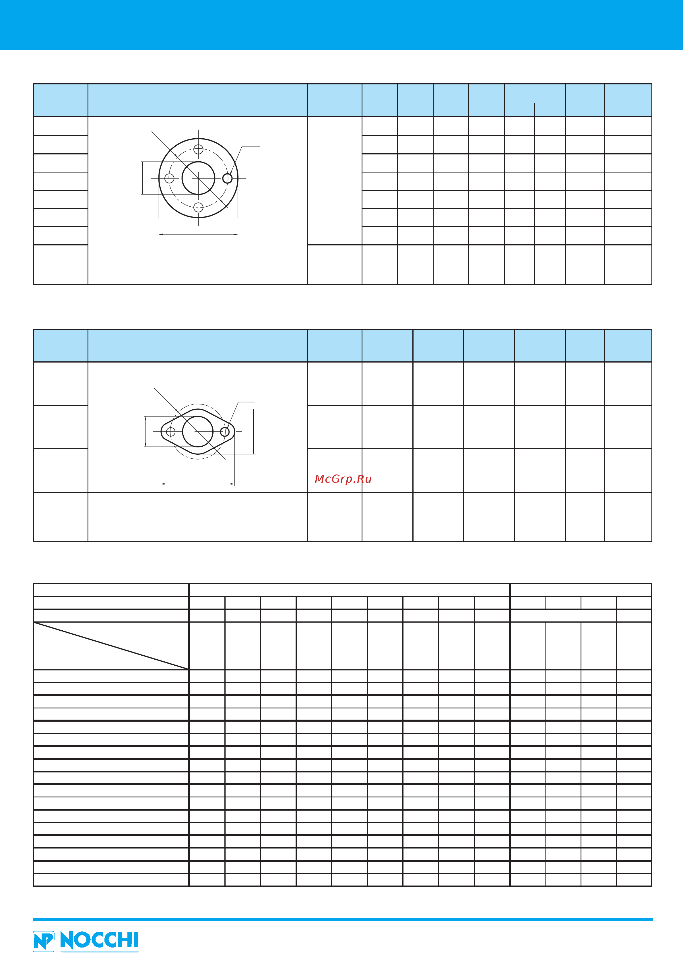 Nocchi PVMI 20-1 FM [73/210] Oval flanges