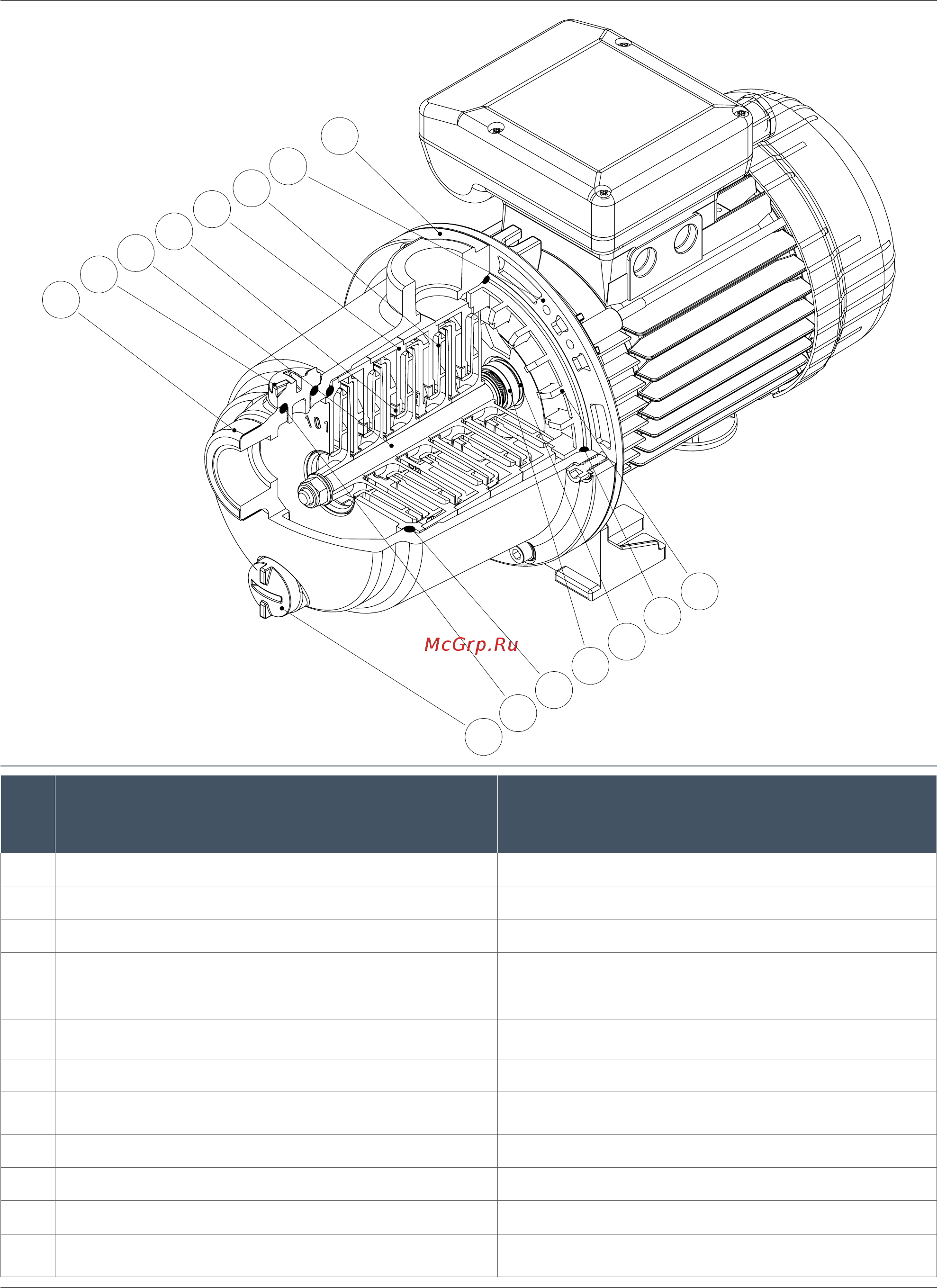Nocchi Multi EVO-SP 3-40 T [2/4] Nocchi centrifugal multistage electric pumps special multi evo sp