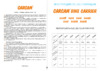 Carcam BIKE CARRIER 5669 A Руководство пользователя