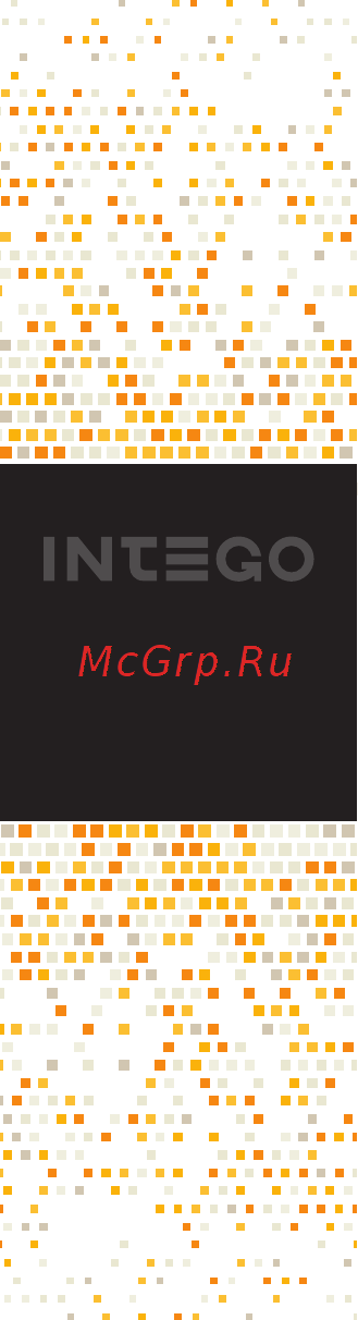 Intego VX-500WF Инструкция по эксплуатации онлайн