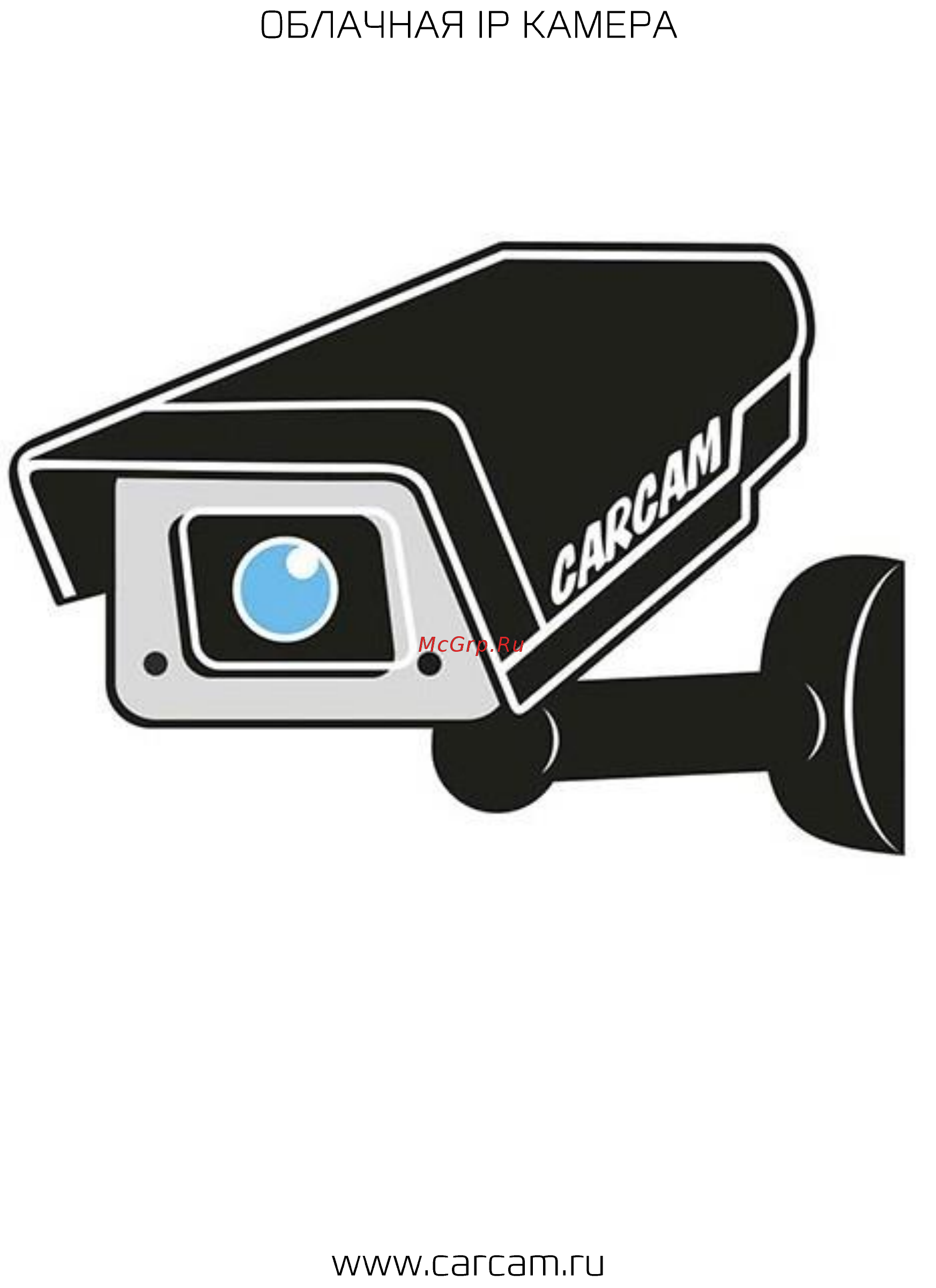 Carcam CAM-3888P Руководство пользователя онлайн