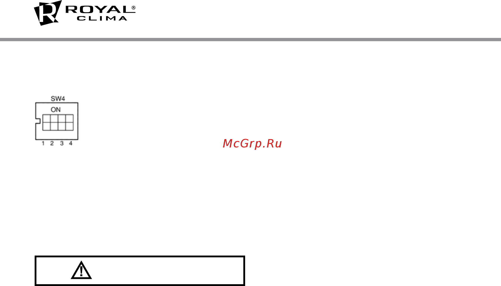 Royal Clima RCS 950 2.0 [24/28] Инструкция по эксплуатации