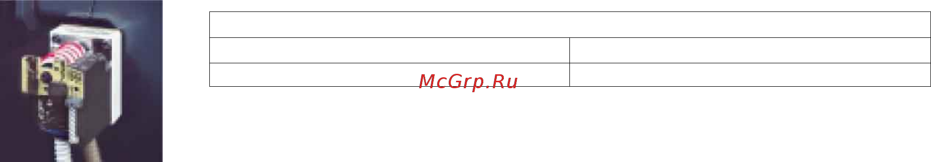 Riello GAS 10 P/M t.l. Технические характеристики онлайн [8/8] 525845