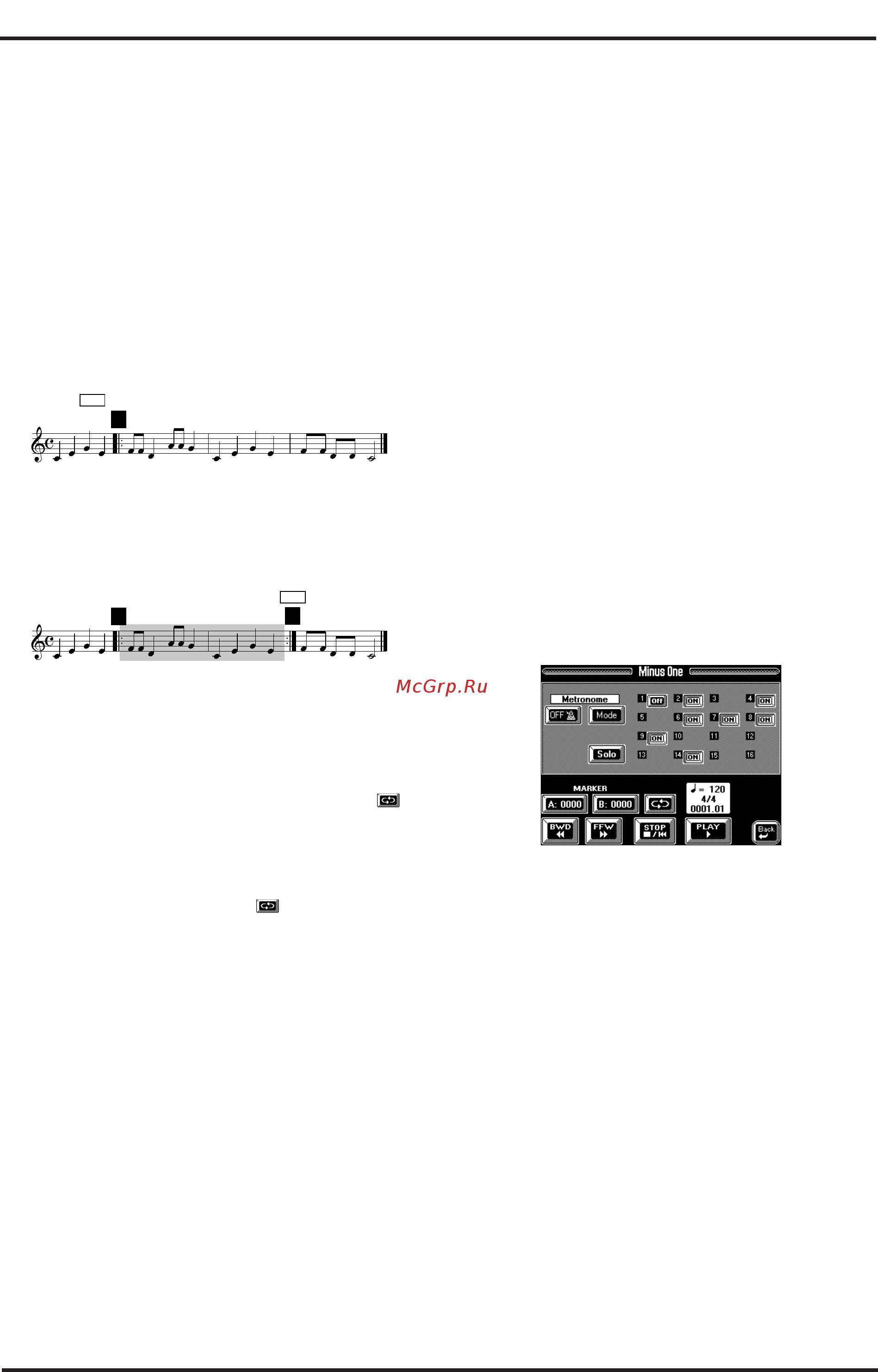 Roland VA-3 [96/208] Воспроизведение по замкнутому циклу loops лупы маркеры markers