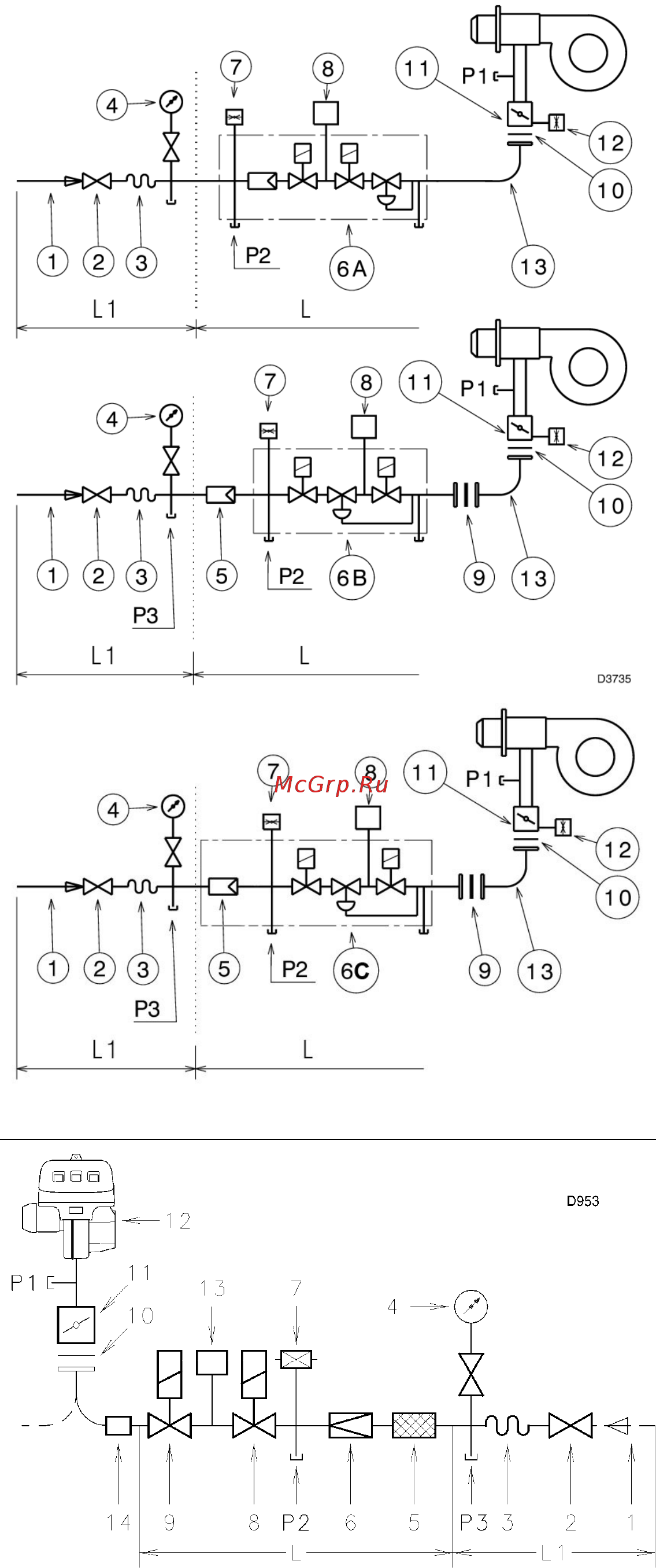 Riello RS 250/M MZ t.l. Инструкция по эксплуатации онлайн [11/33] 525915