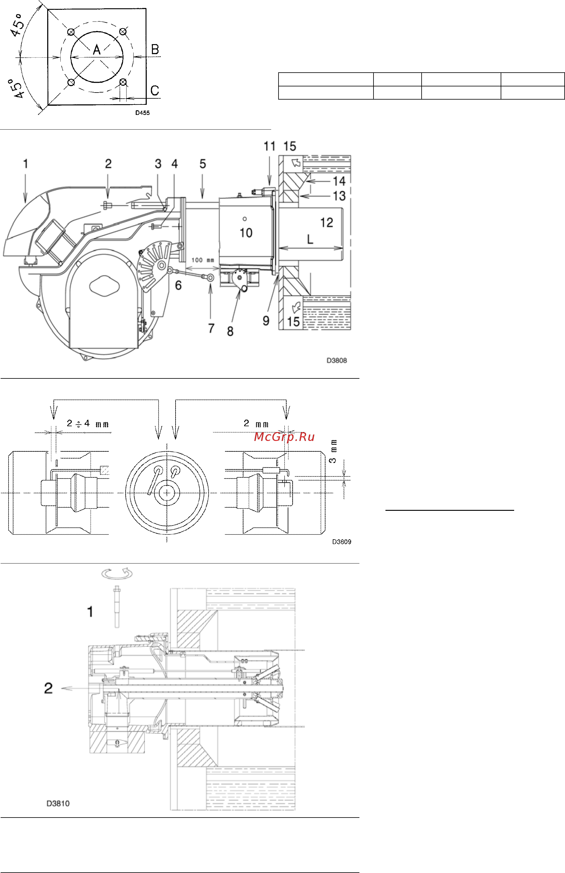 Riello RS 250/M MZ t.c. [9/33] Датчик электрод