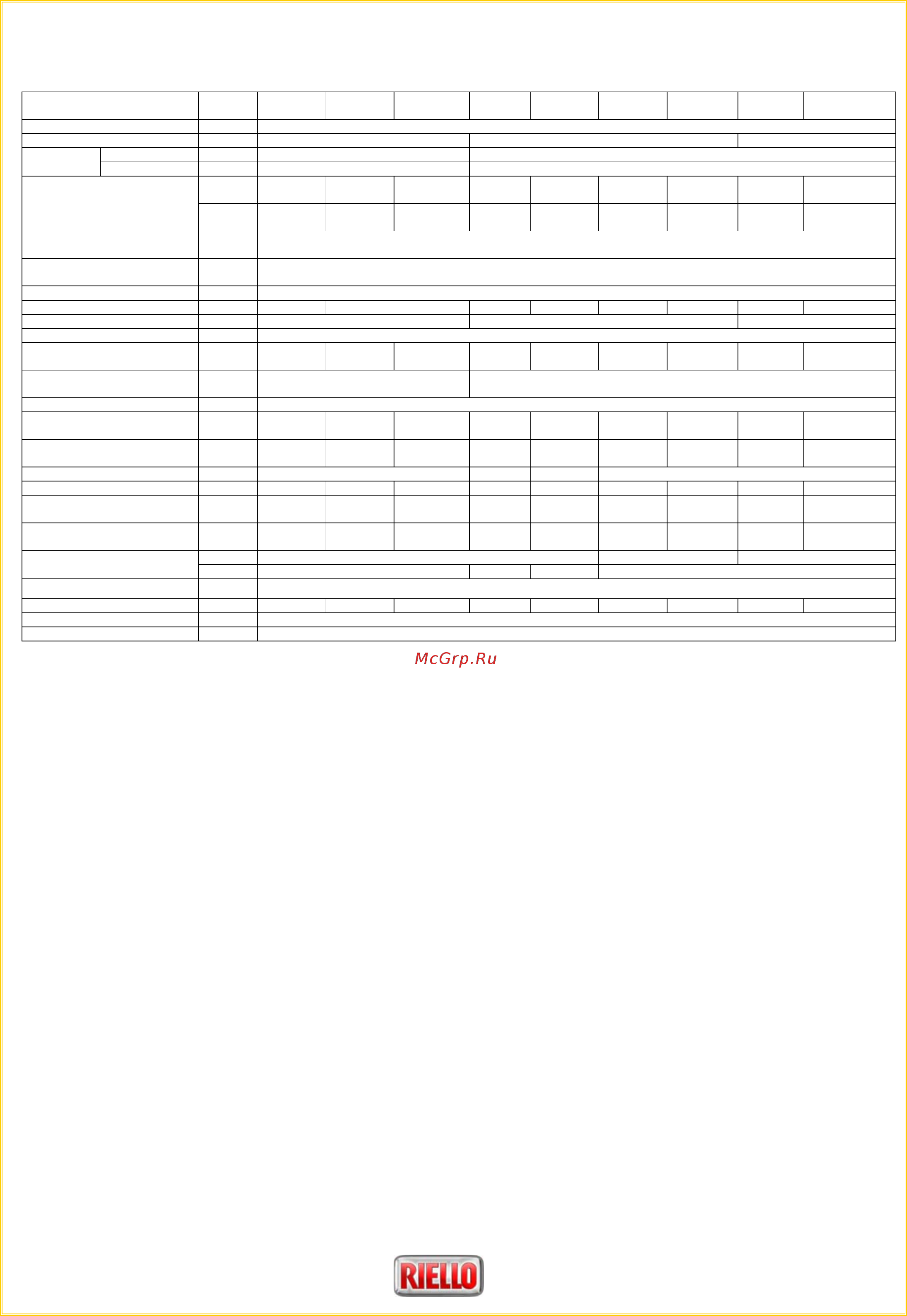 Riello RS 35/E BLU (T) [3/14] Стандартная комплектация