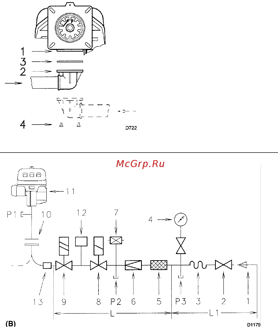 Riello RLS 70 t.l. Инструкция по эксплуатации онлайн [19/31] 526364