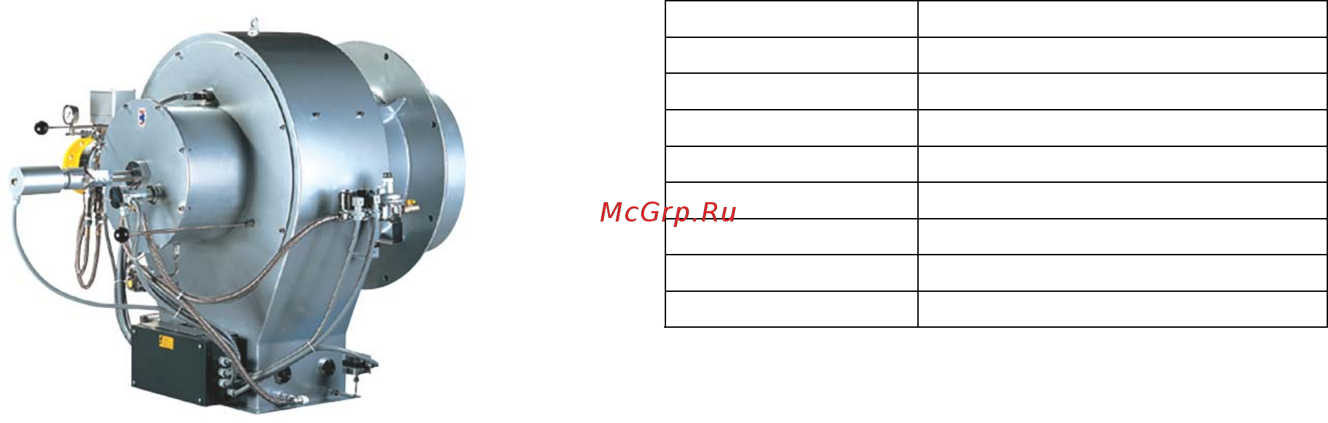 Riello ER 4 Технические характеристики онлайн