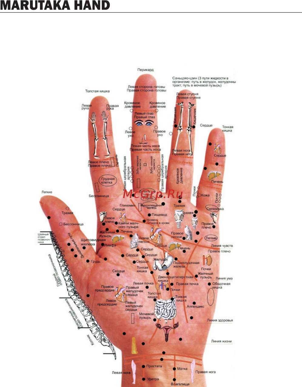 Marutaka Hand Инструкция по эксплуатации онлайн [10/10] 527751