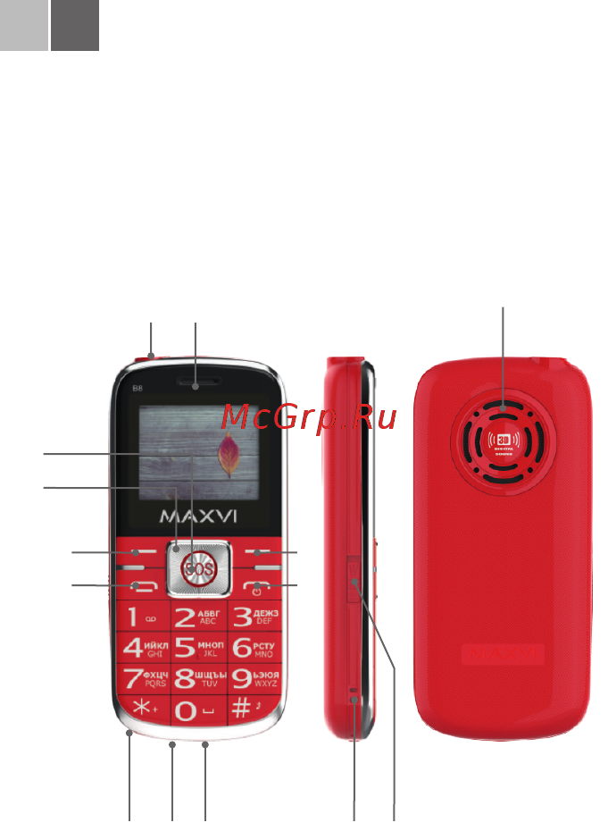 Maxvi B8 [50/68] Elementlari