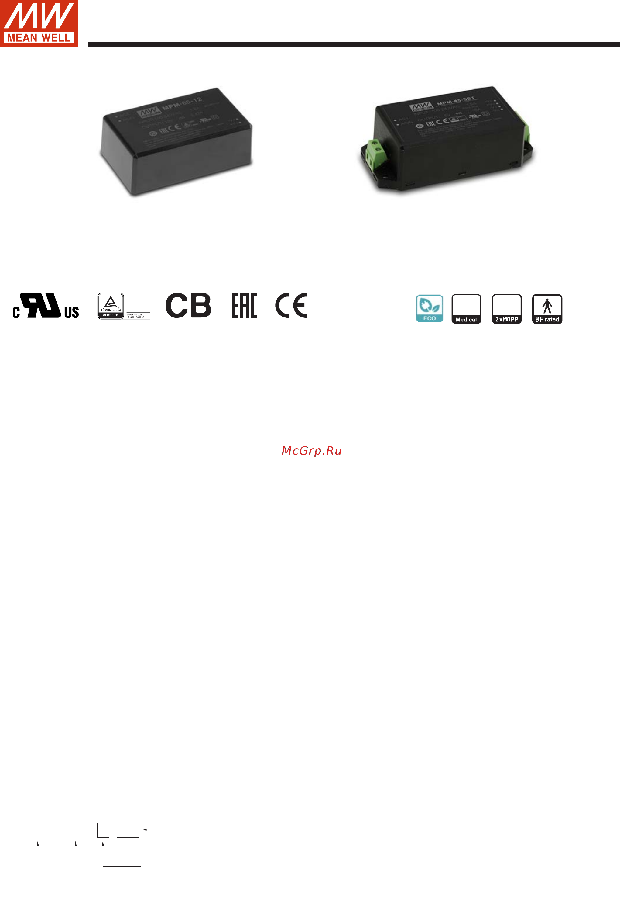 MEAN WELL MPM-65-5ST Data sheet онлайн