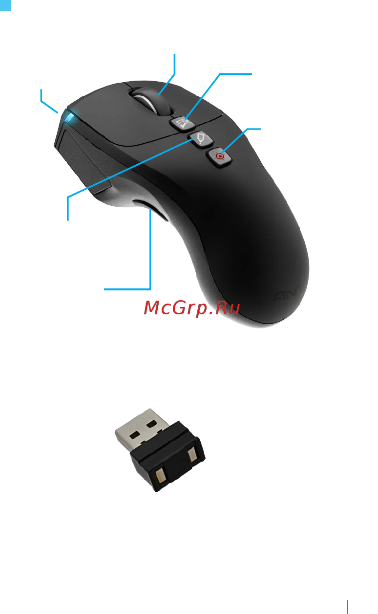 Gigabyte Aivia Neon [3/12] Aivia neon и принадлежности