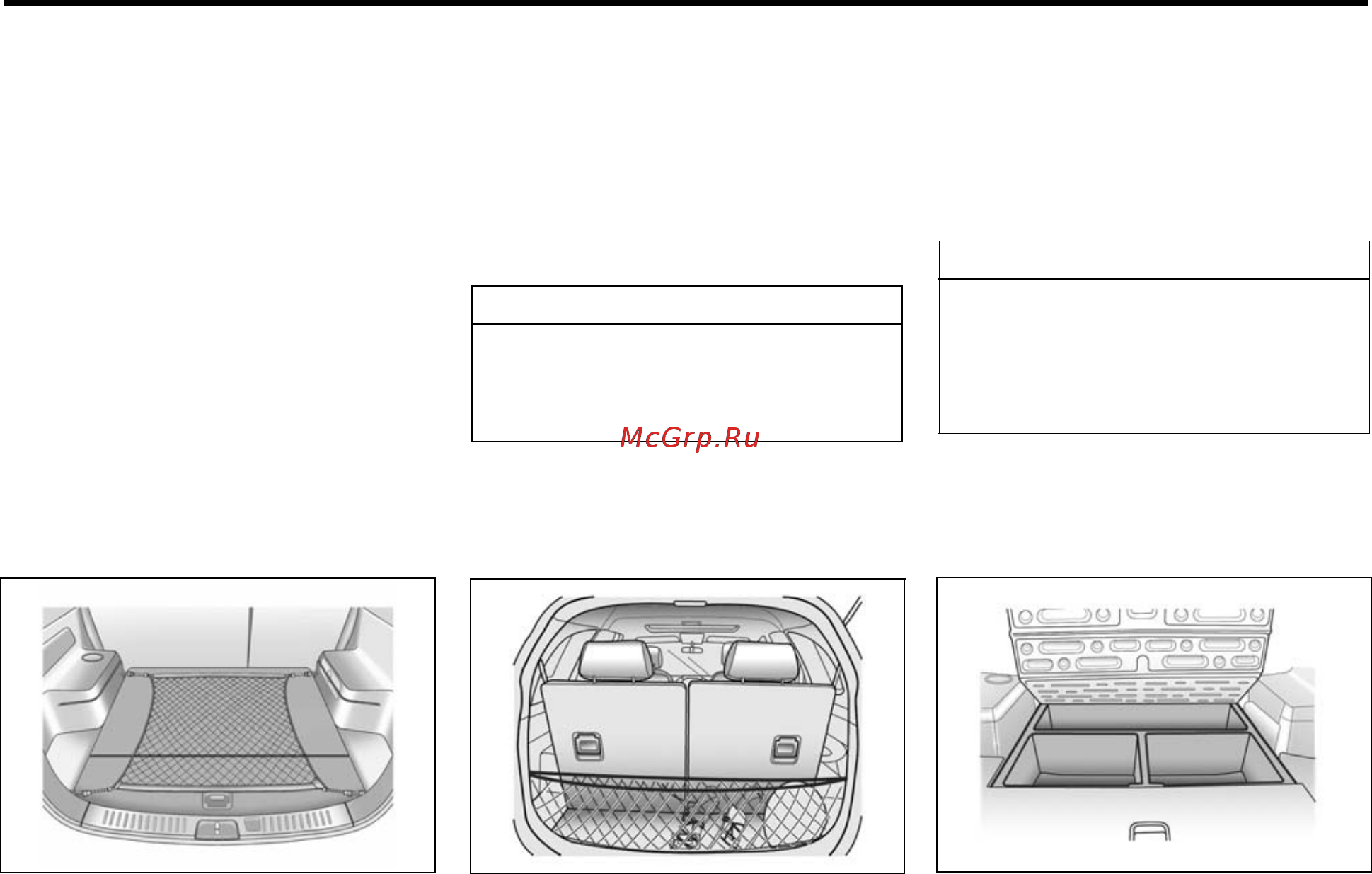 Chevrolet Captiva 2012 [118/378] Багажная напольная сетка