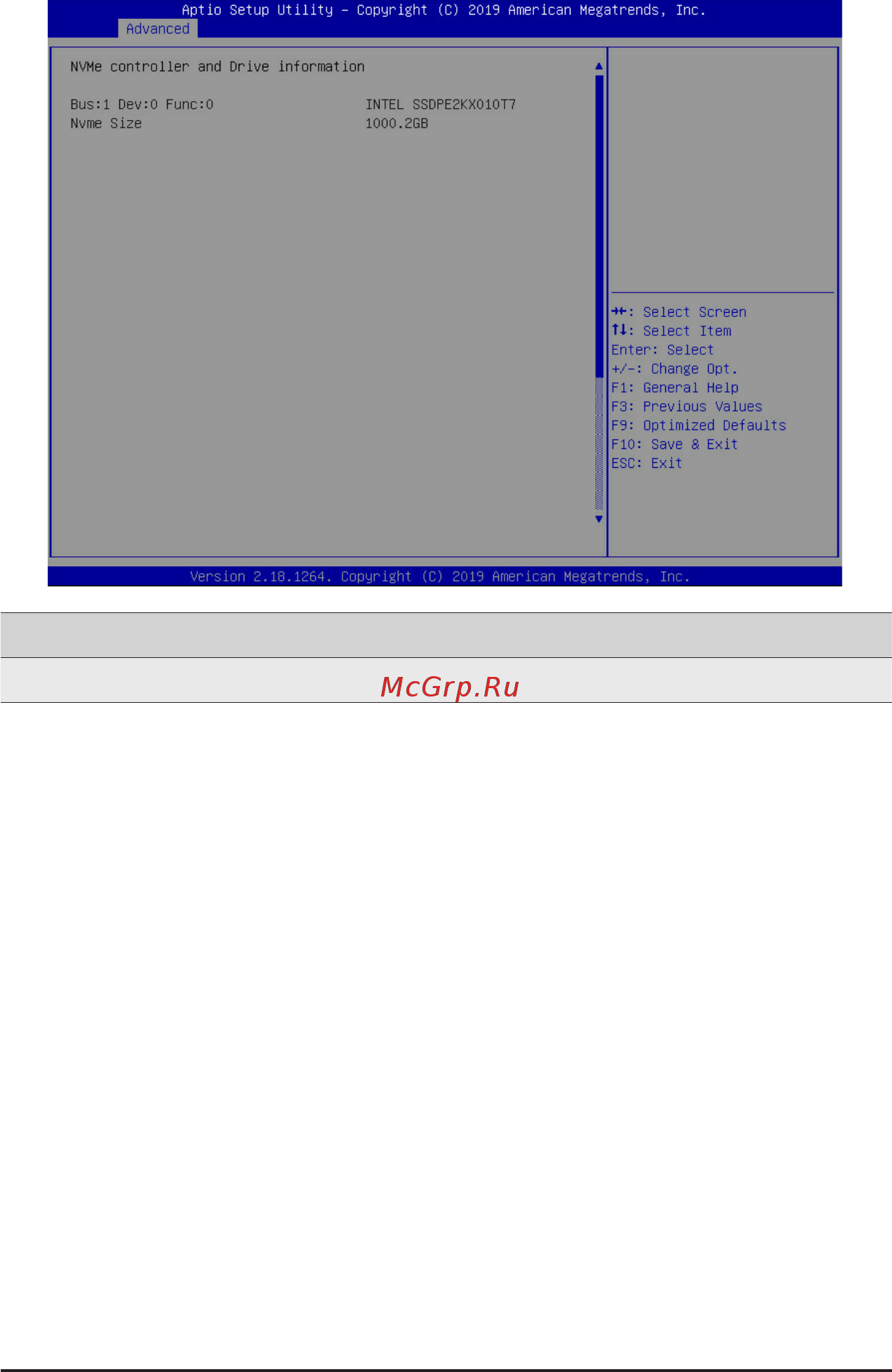 Gigabyte MZ32-AR0 (rev. 1.0) [49/146] 2 10 nvme configuration