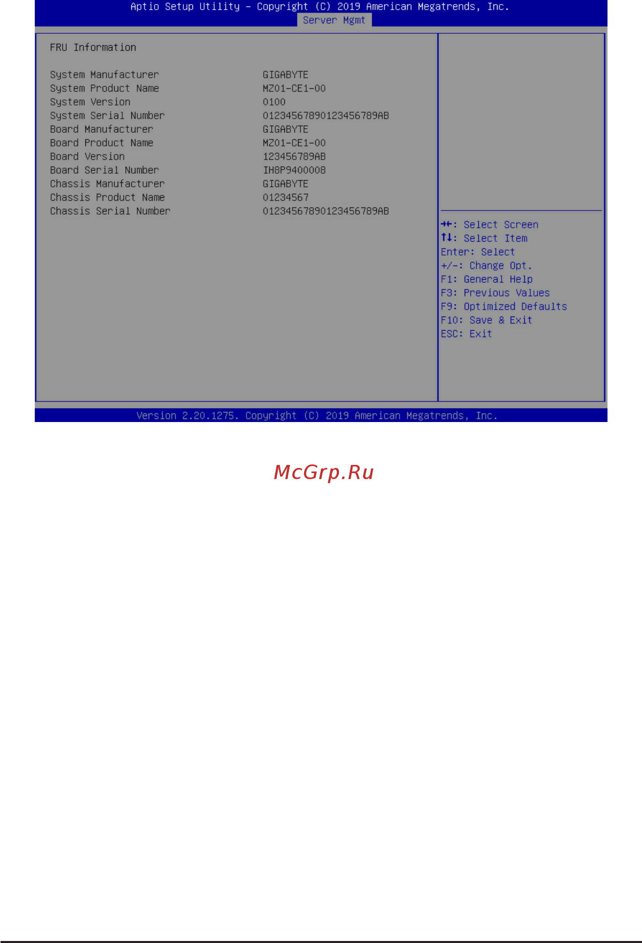 Gigabyte MZ01-CE0 (rev. 2.x) [105/137] 6 2 view fru information