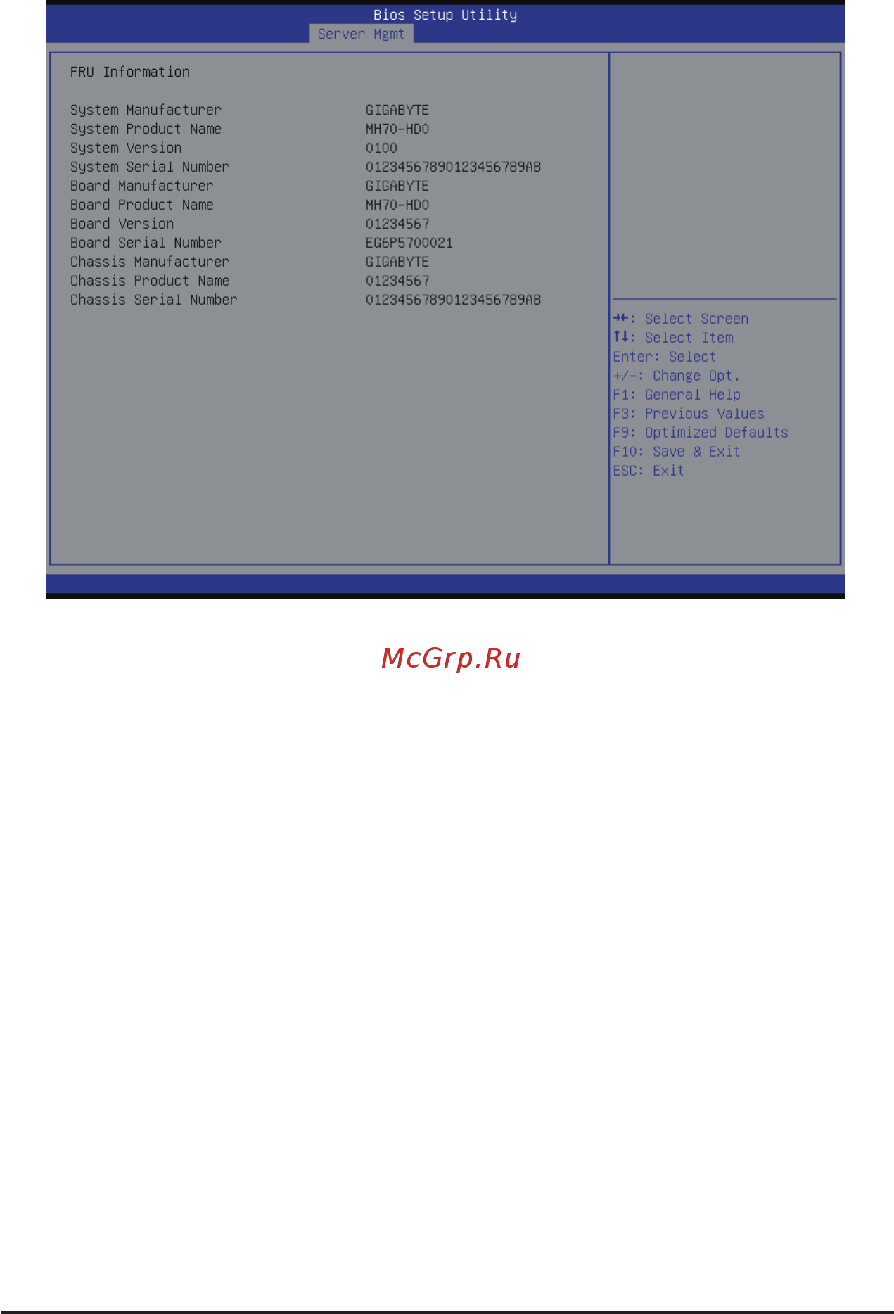 Gigabyte MH70-HD1 (rev. 1.0) [101/114] 4 2 view fru information