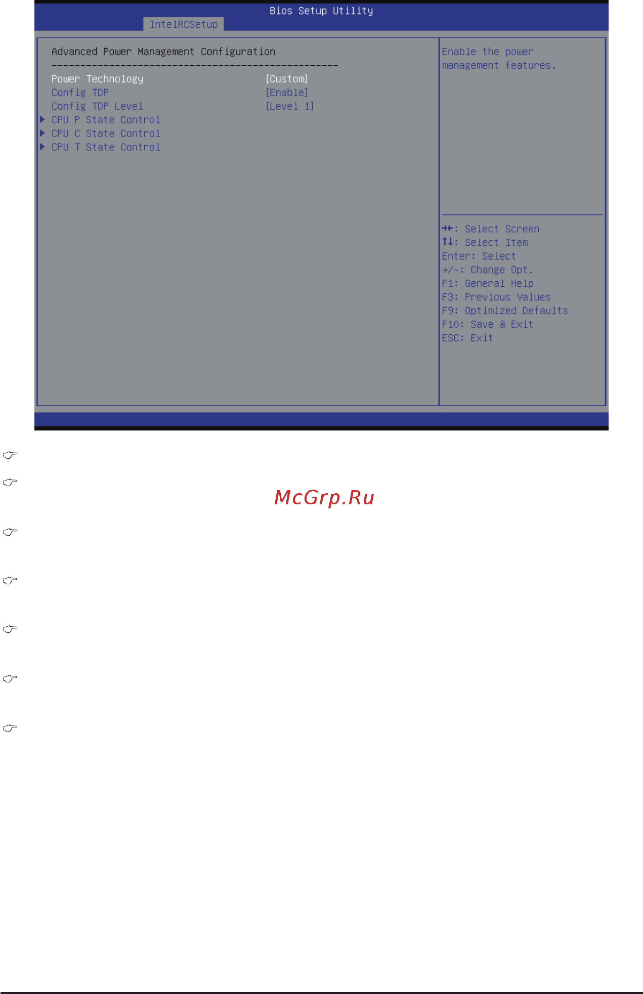 Gigabyte MH70-HD1 (rev. 1.0) [68/114] Configtdplevel