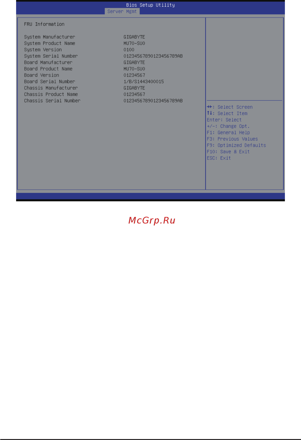 Gigabyte MU70-SU0 (rev. 1.0) [108/125] 4 2 view fru information