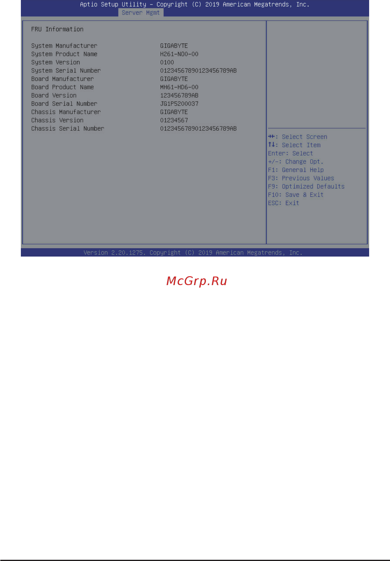Gigabyte H261-NO0 (rev. 100) [96/113] 4 2 view fru information