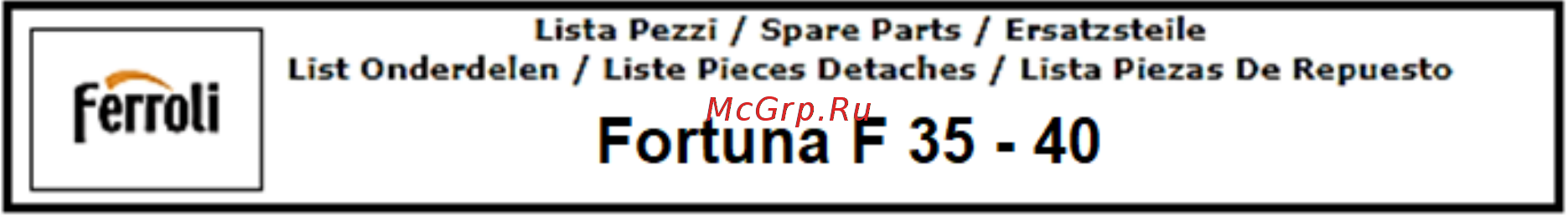 Ferroli Fortuna F 40 Каталог запчастей онлайн [7/7] 538678