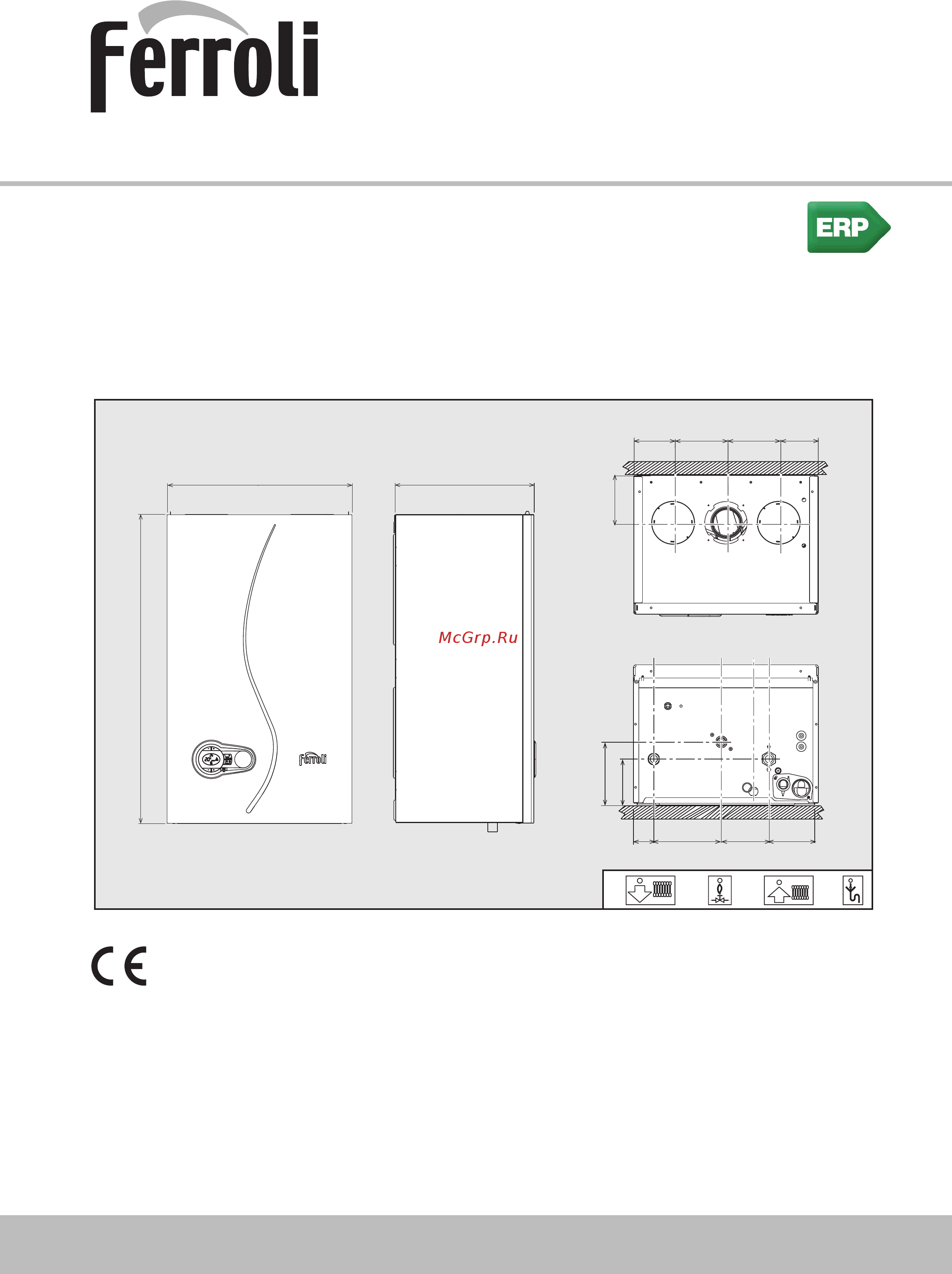Ferroli BLUEHELIX TECH S 45 H Инструкция по эксплуатации онлайн