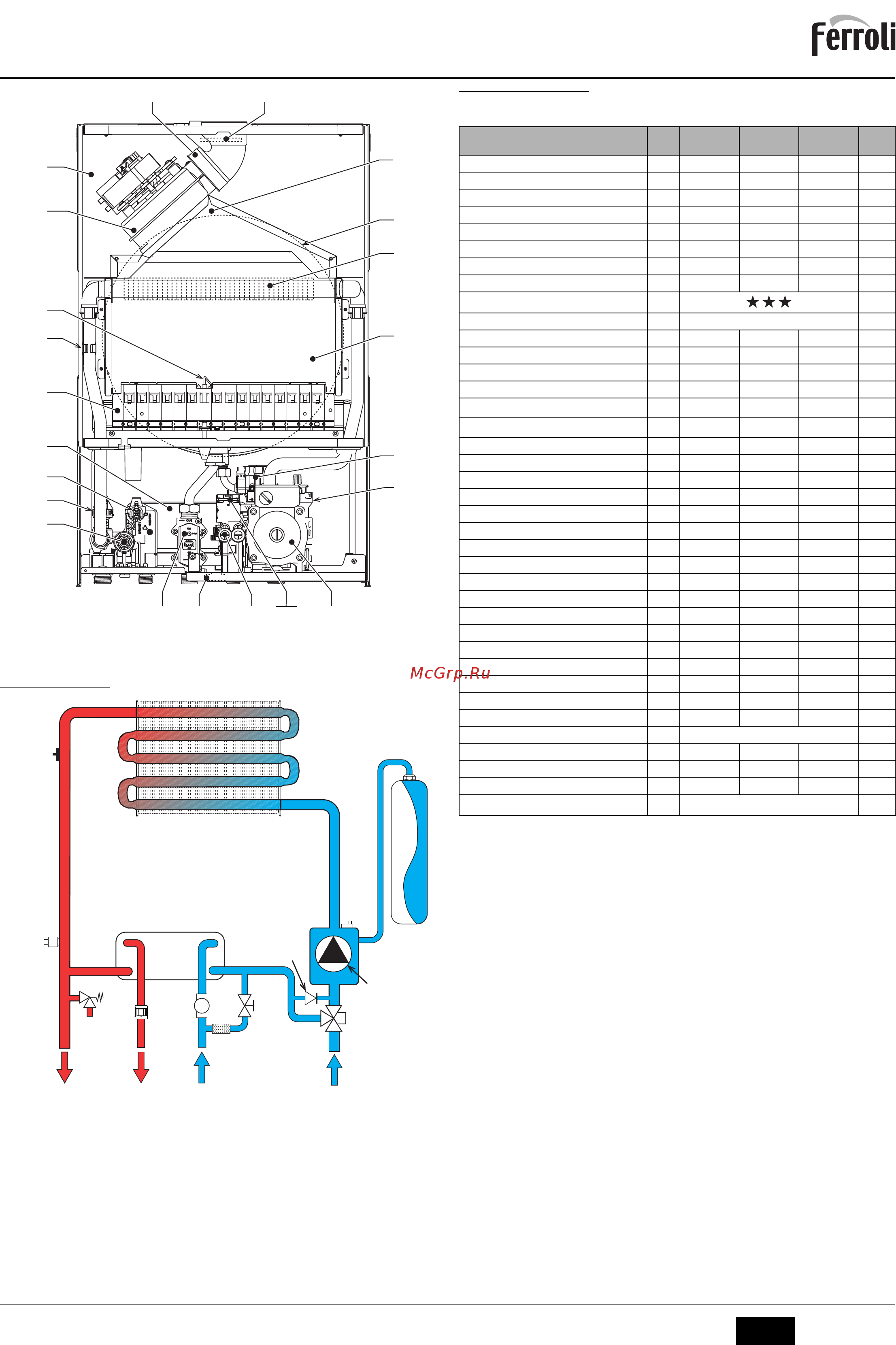 Ferroli DIVATECH D F32 [13/48] Divatech d f