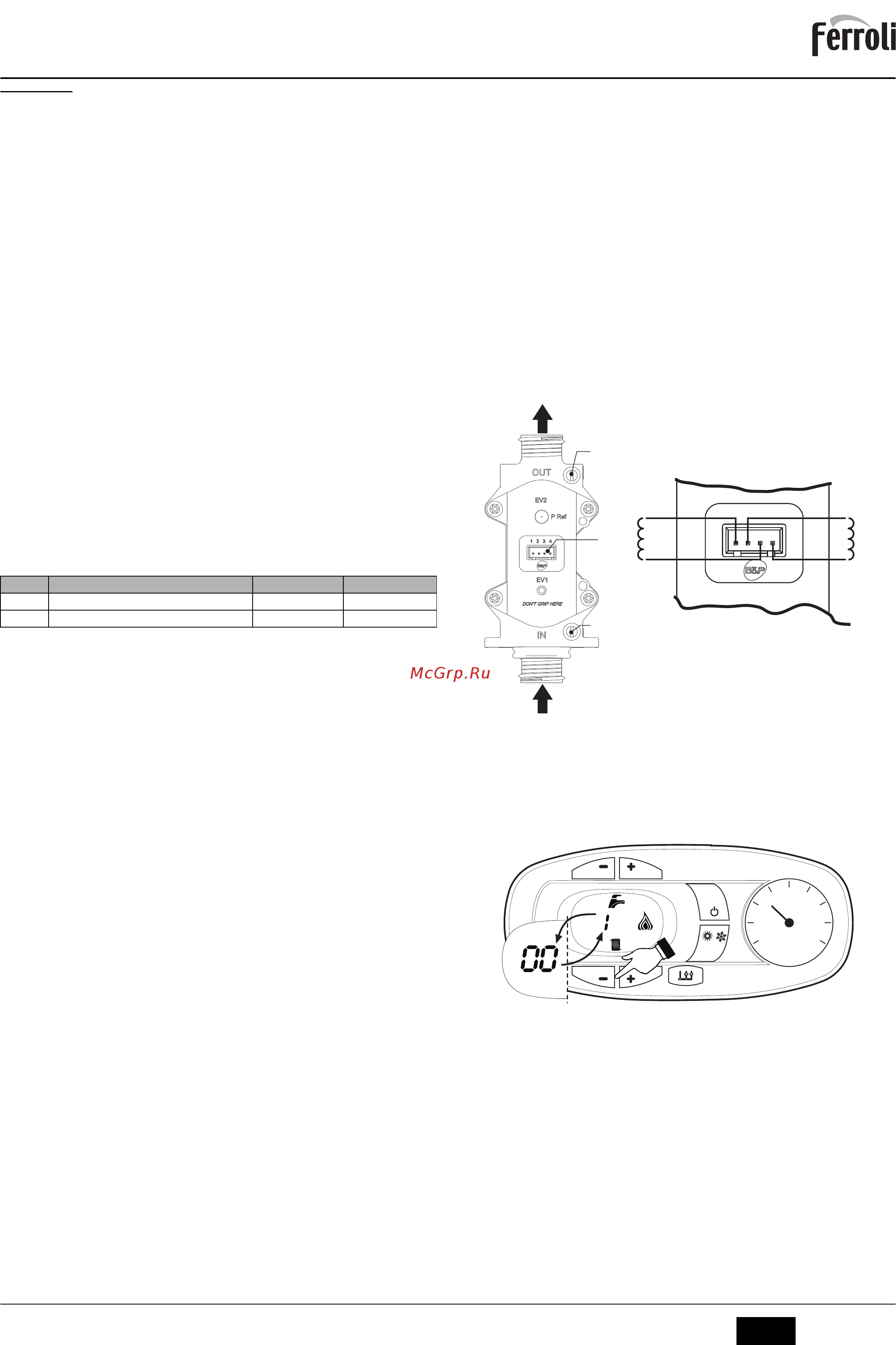 Ferroli DIVATECH D F32 [21/48] Divatech d f