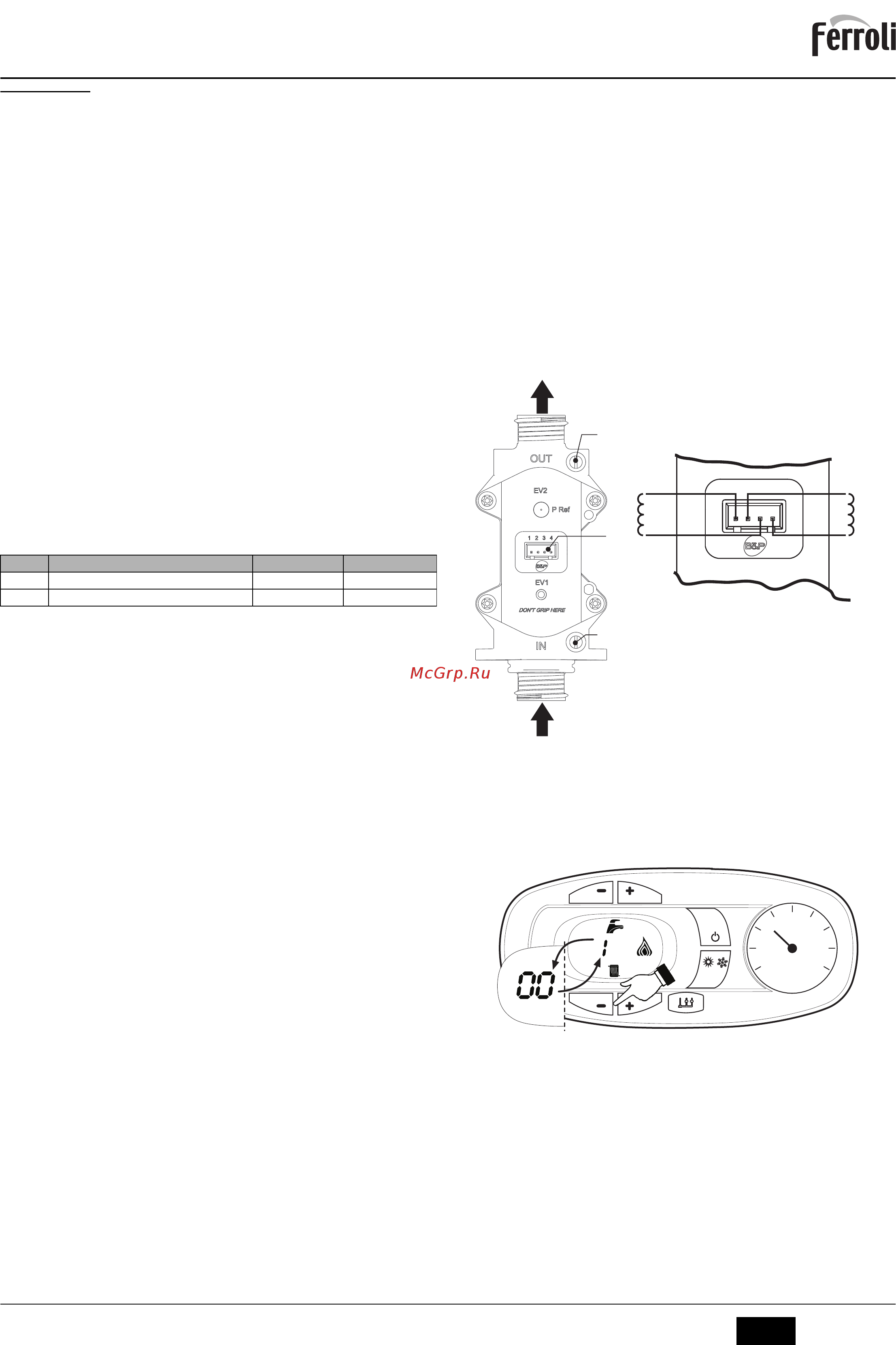 Ferroli DIVATECH D F32 [7/48] Divatech d f