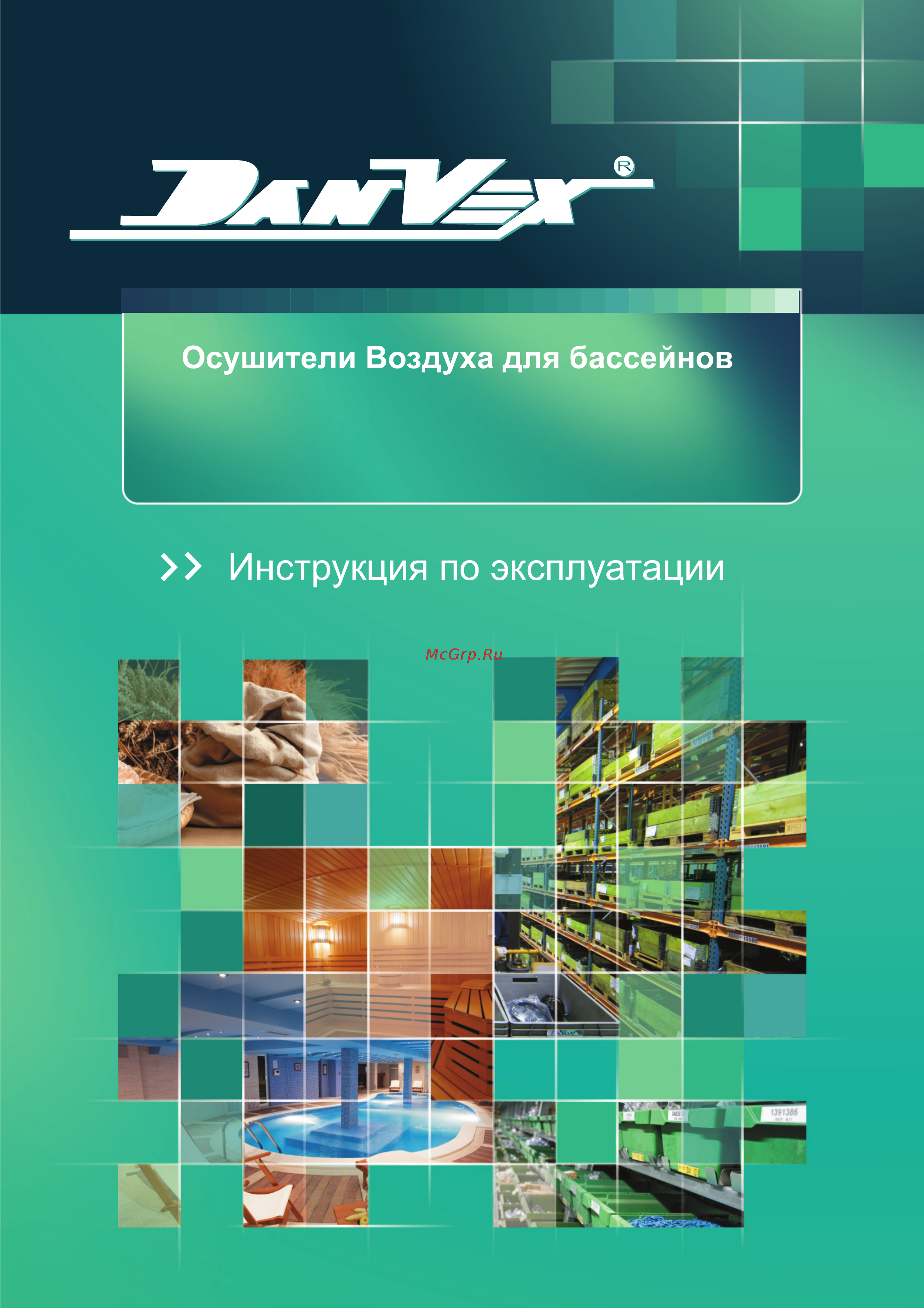 DanVex DEH-1700wp Инструкция по эксплуатации онлайн