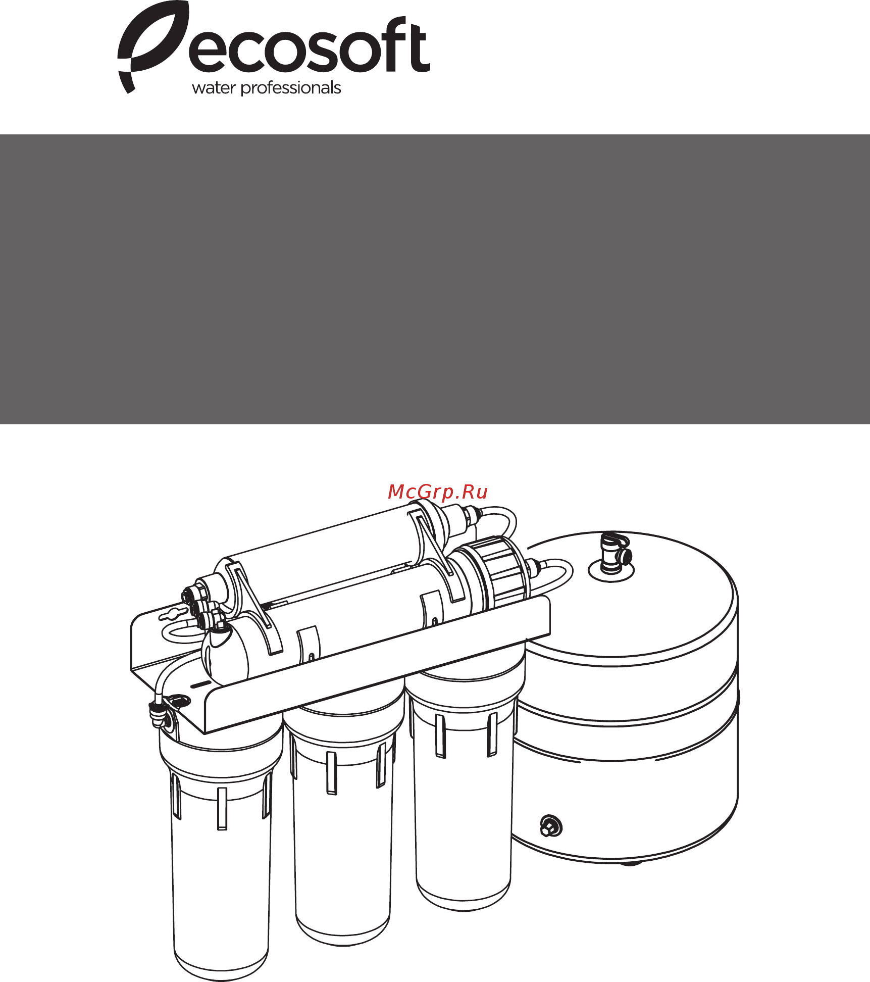 Ecosoft Standard Инструкция онлайн