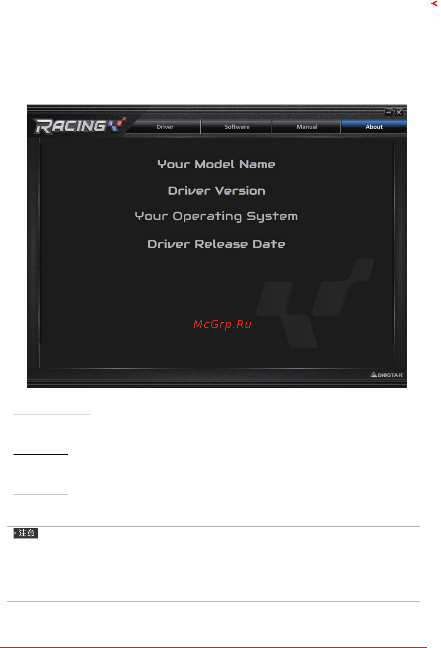 Biostar Z490GTA EVO Версия 5.0 [126/133] 第四章 幫助訊息