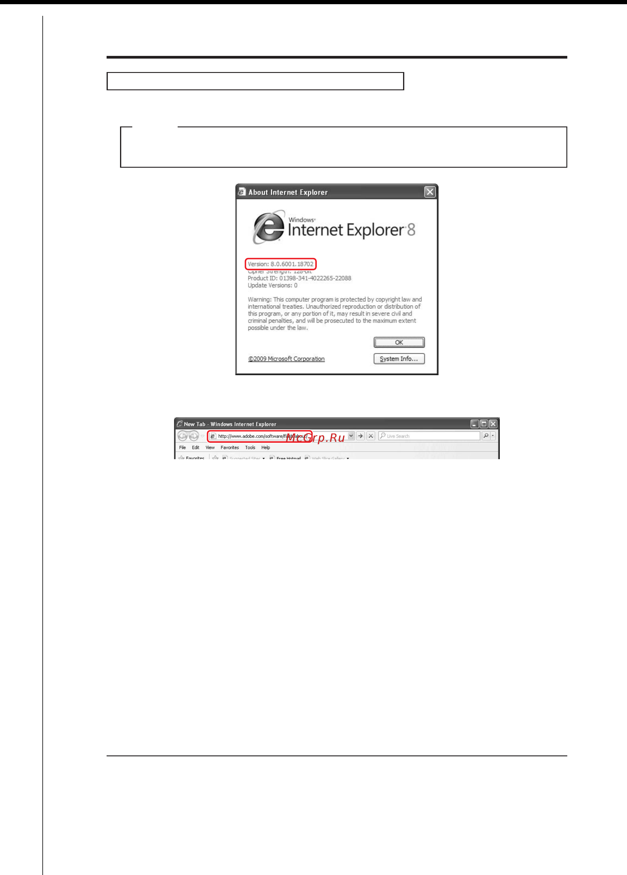Daikin RXYQ168PTJU [286/405] Checking the web browser and flash player versions