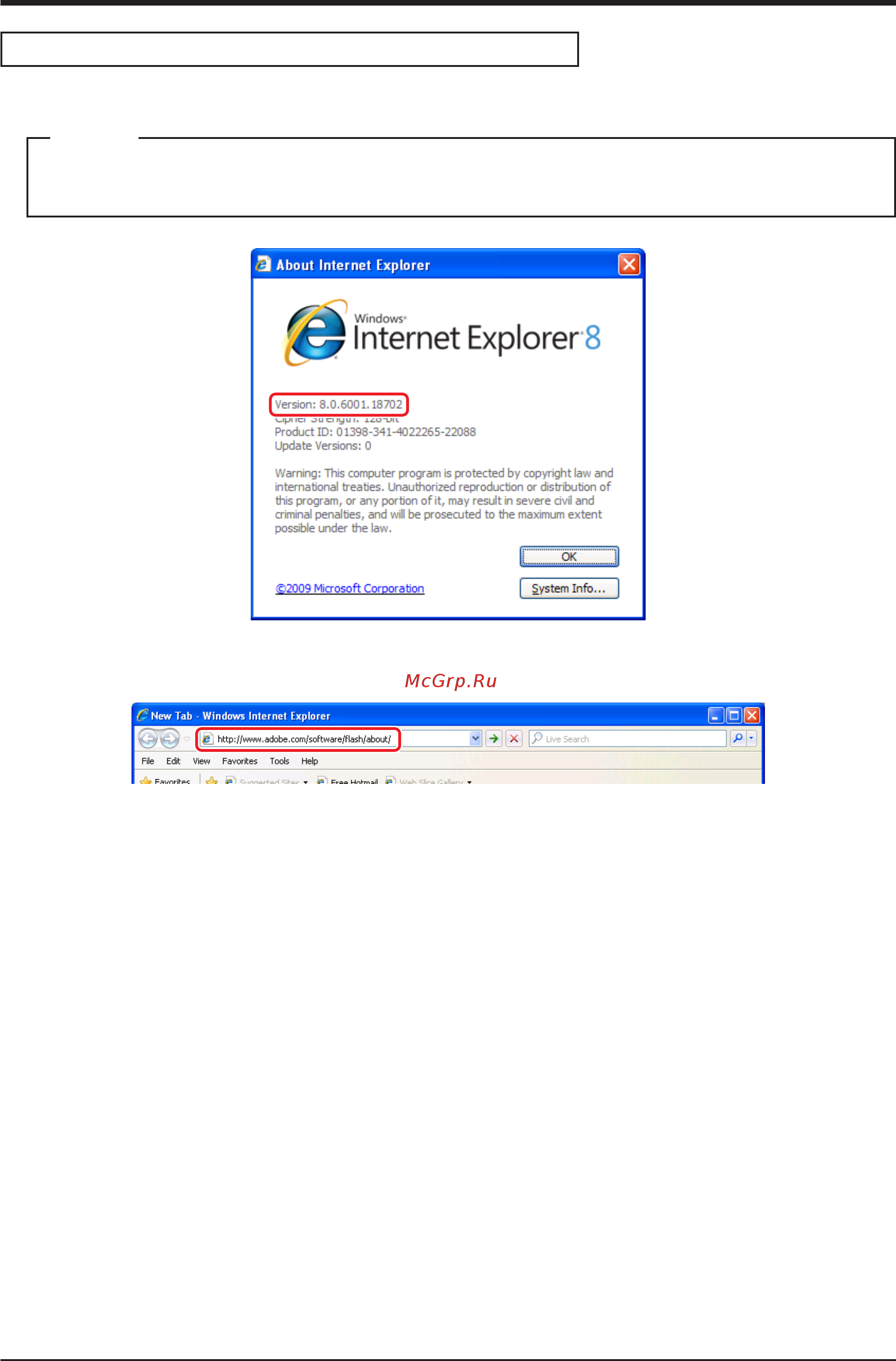 Daikin RCXYQ40MAY1 [93/125] Checking the web browser and flash player versions