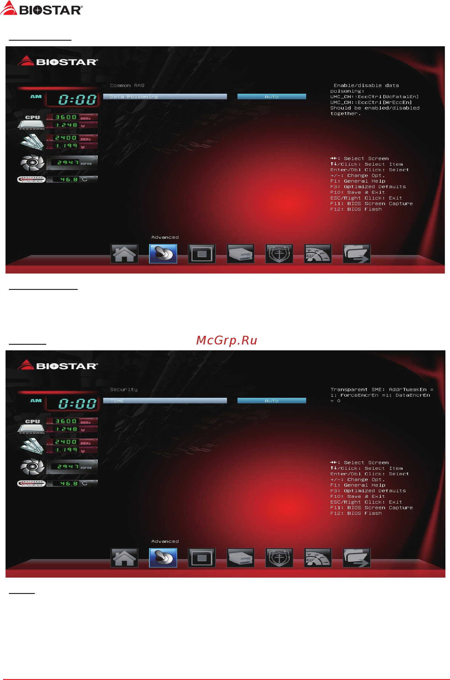 Biostar TA320-BTC Версия 6.x Инструкция BIOS онлайн [12/39] 547567