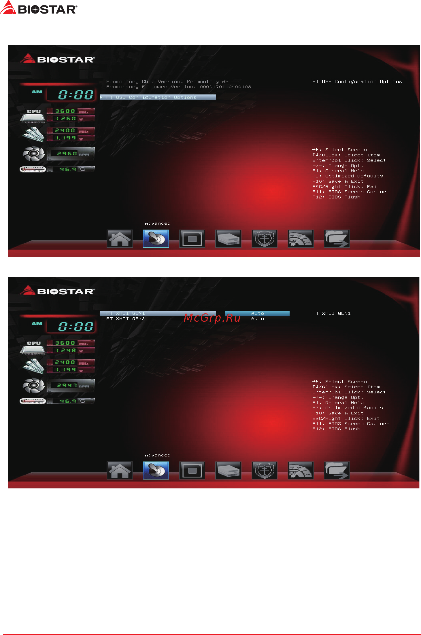 Biostar TB350-BTC Версия 6.x [12/33] Promontory common options