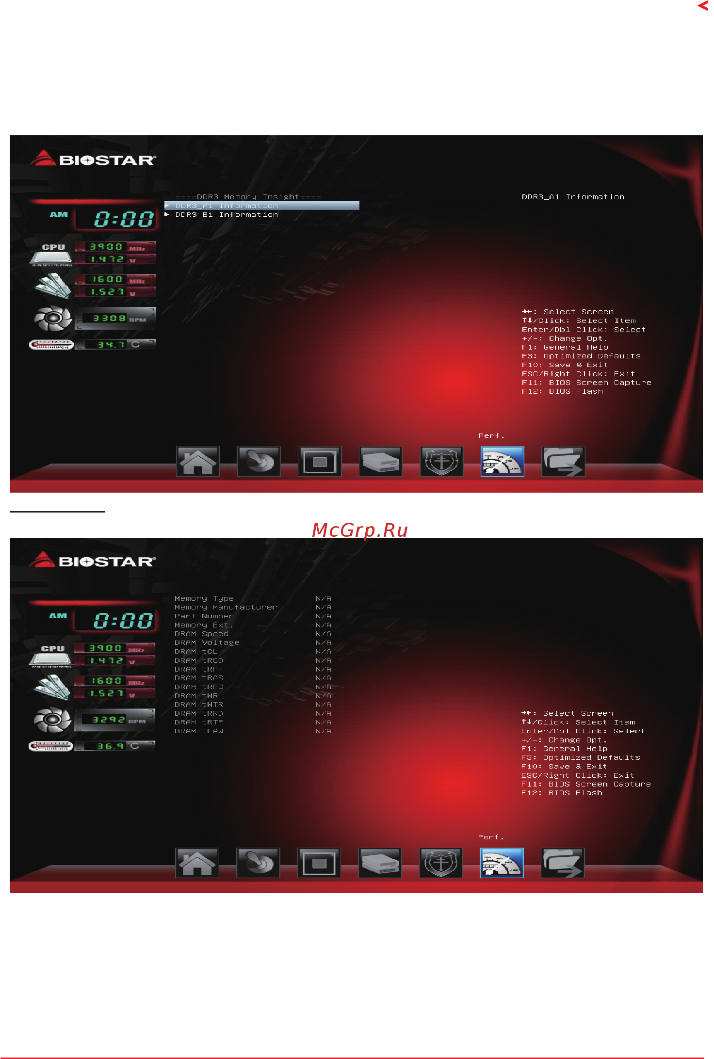 Biostar A68MDE Версия 7.x [31/32] Biostar memory insight