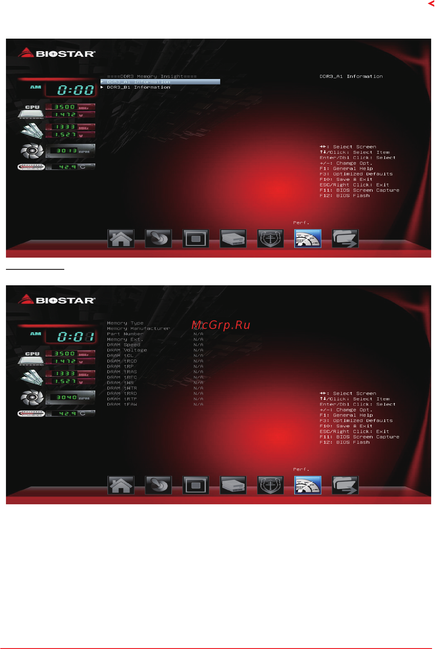 Biostar A68MHE Версия 7.4 [31/32] Biostar memory insight