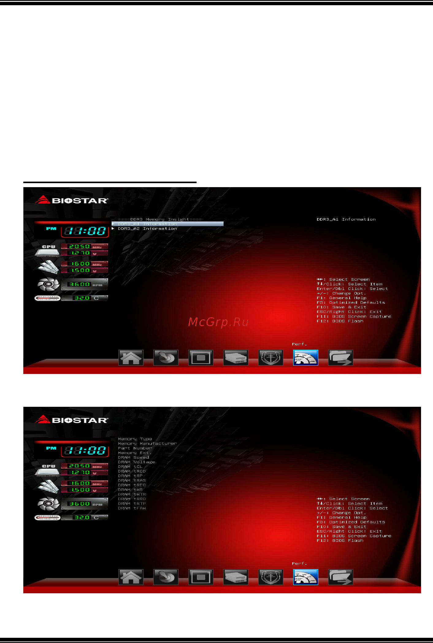 Biostar AM1ML Версия 7.x [31/32] Biostar memory insight