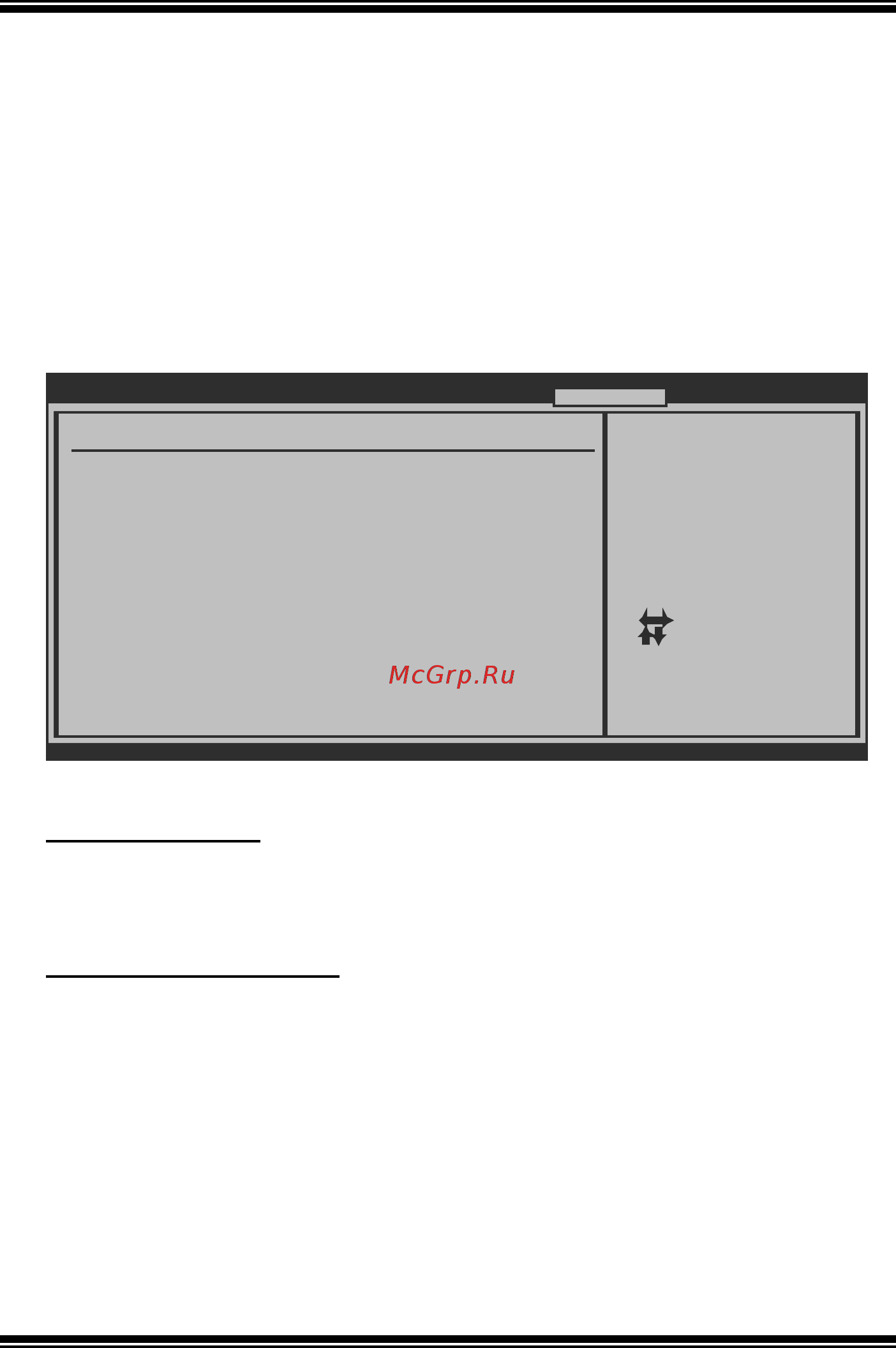 Biostar TA880GU3+ Версия 6.x [29/45] T series menu