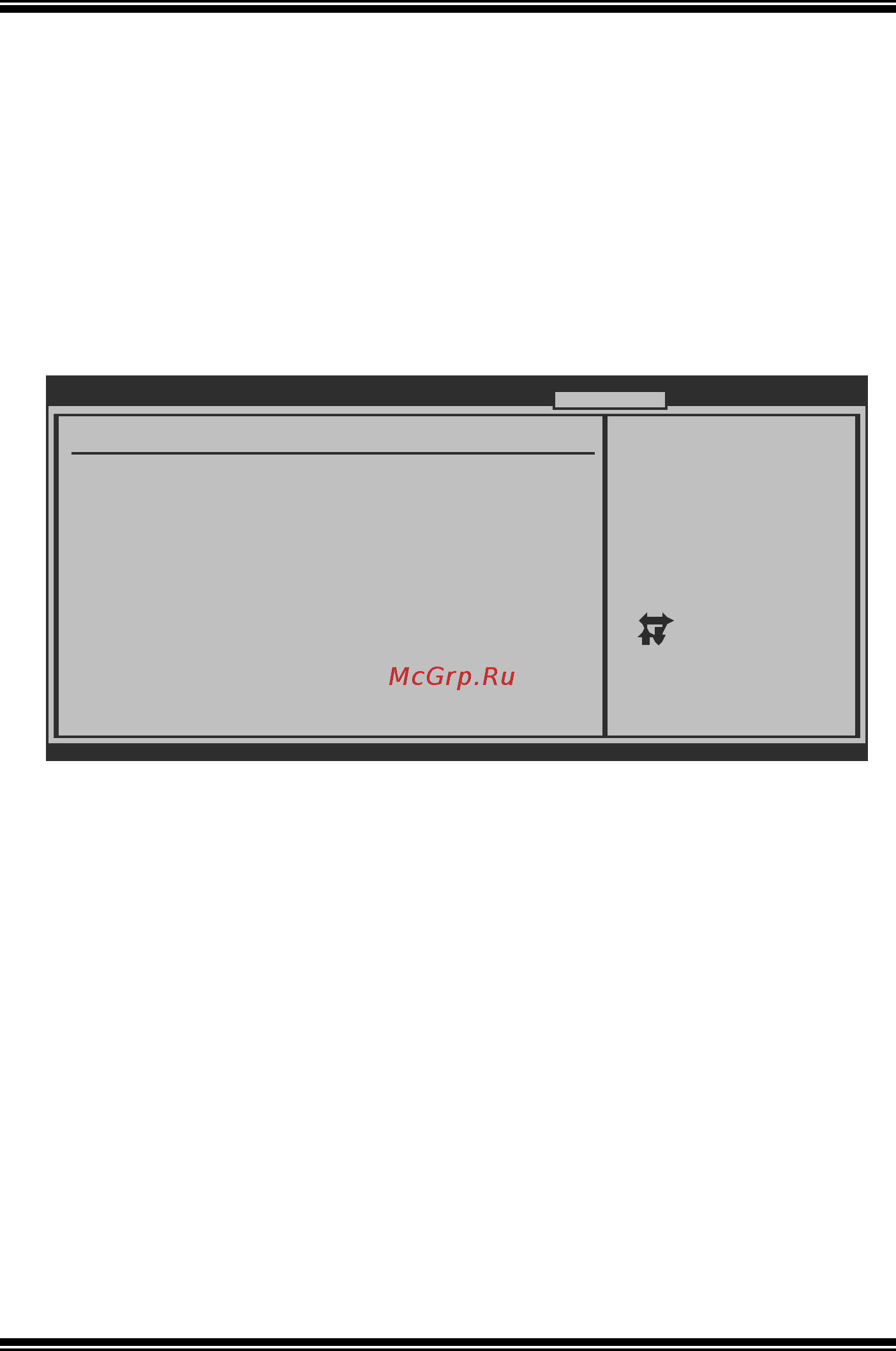 Biostar A740G3L Версия 6.x [29/41] Performance menu