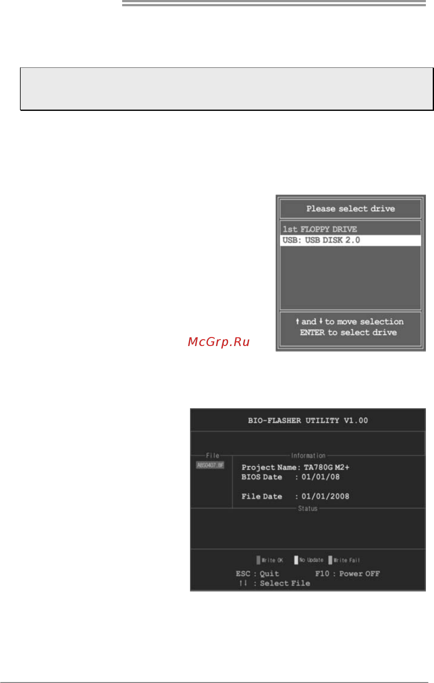 Biostar A780L3C Версия 7.2/7.3 [22/49] Biostar bios flasher
