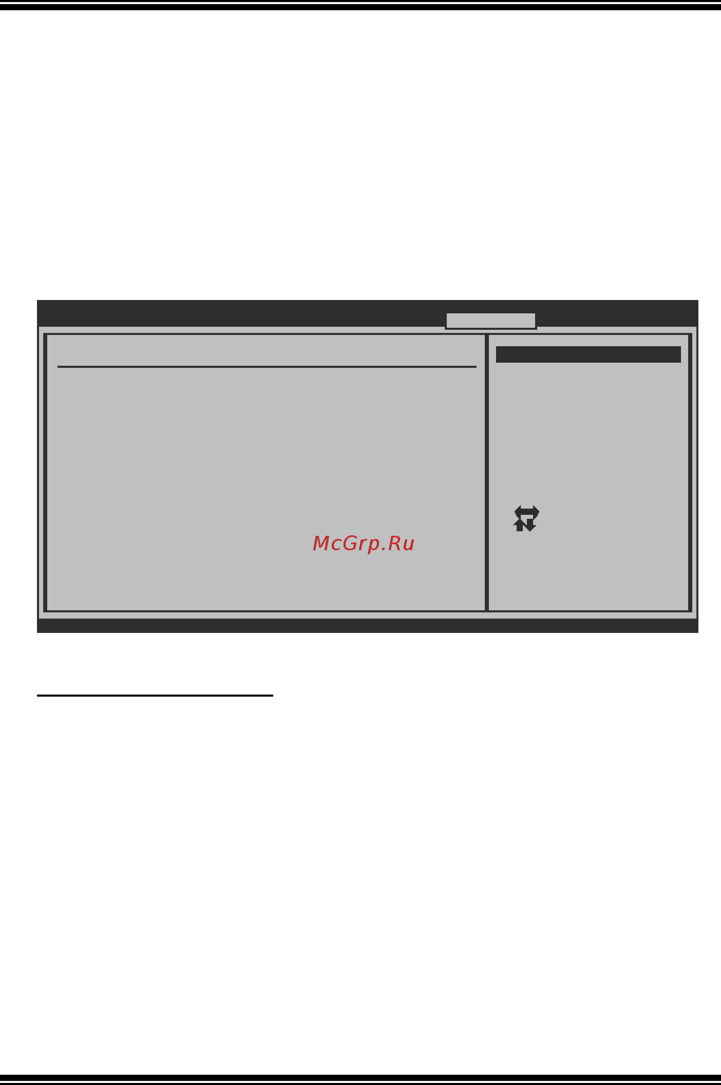 Biostar TA785G3 Версия 6.3 [30/46] T series menu