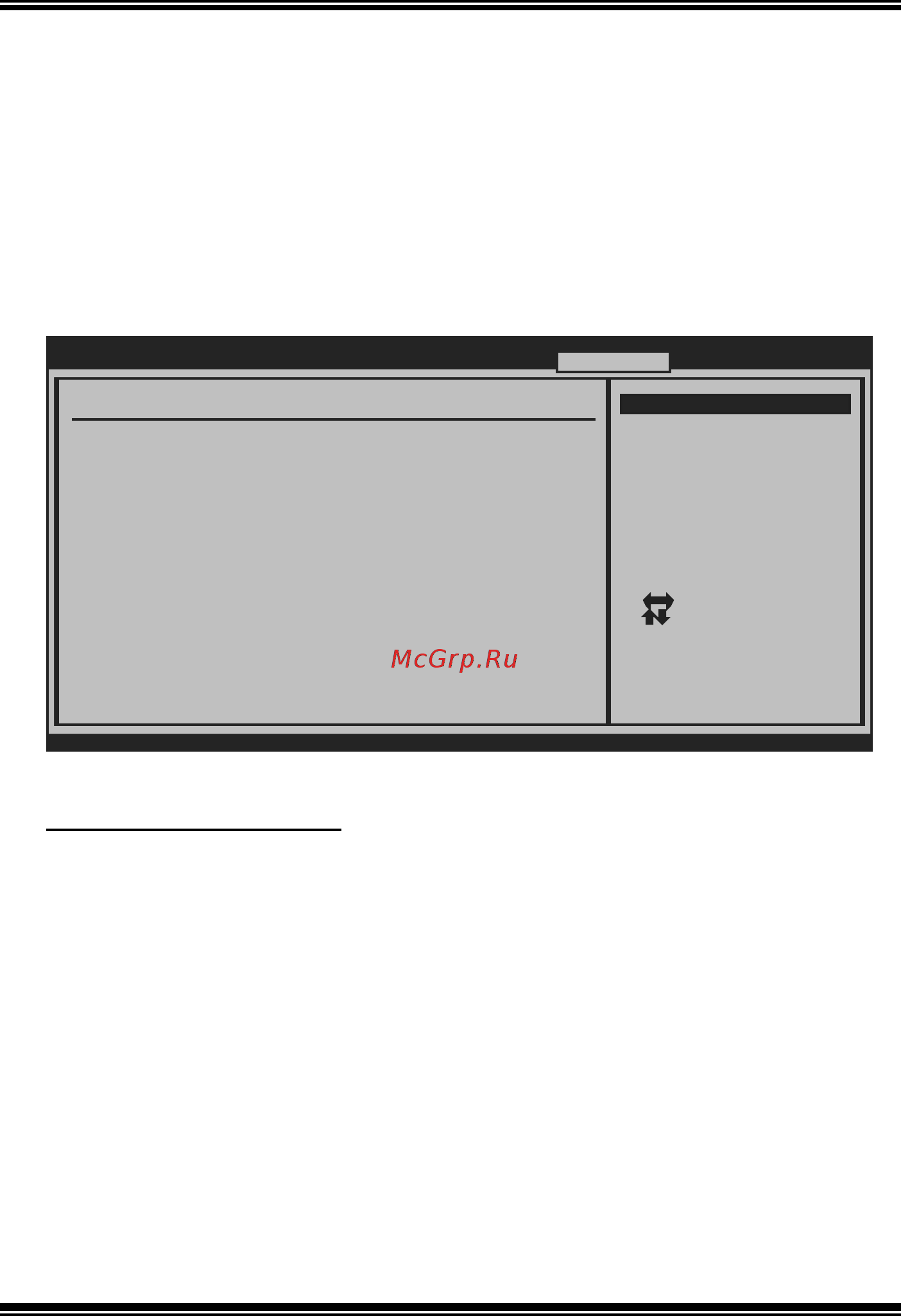 Biostar TA790GX 128M Версия 5.x [31/43] T series menu