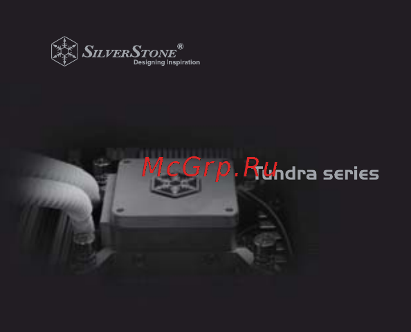 SilverStone TD02 Инструкция по эксплуатации онлайн