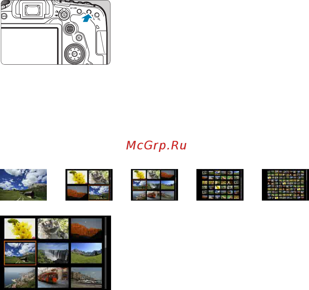 Canon EOS 90D Body [334/648] Индексный режим отображение нескольких изображений