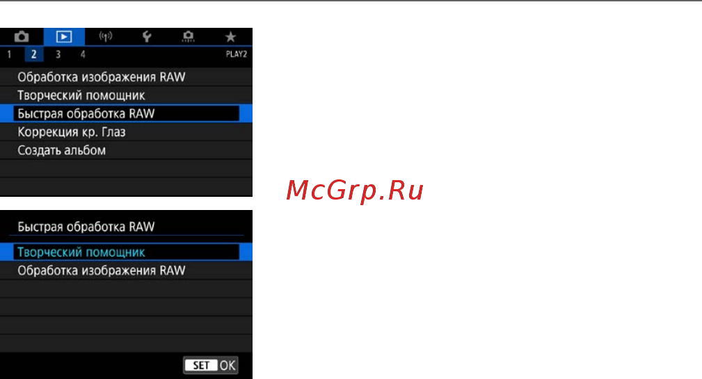 Canon EOS 90D Body [372/648] Выбор типа обработки изображений raw